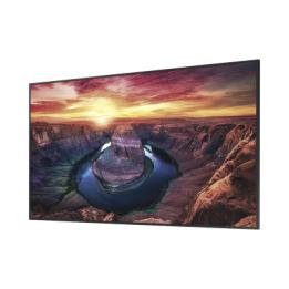 Pantalla Profesional LED de 32", FHD (1920x1080p), Entradas de Video HDMI, Bocinas Integradas de 10 W. Compatible VESA