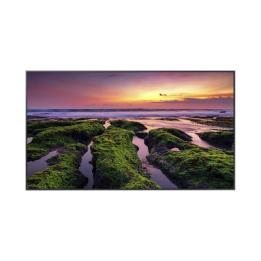 Pantalla Profesional LED de 65", UHD 4K (3840x2160p) / Entradas de Video HDM / Bocinas Integradas de 10 W. Compatible