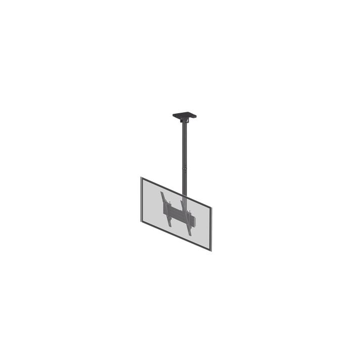 Montaje de Techo para Pantallas de  32"- 75I"| VESA 100 X 100 HASTA 400 X 400| Capacidad Máxima de Carga 50Kg