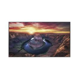 Pantalla Profesional LED de 50", UHD 4K (3840x2160p), Entradas de Video HDMI/DisplayPort / USO 24/7 / Compatible VESA /