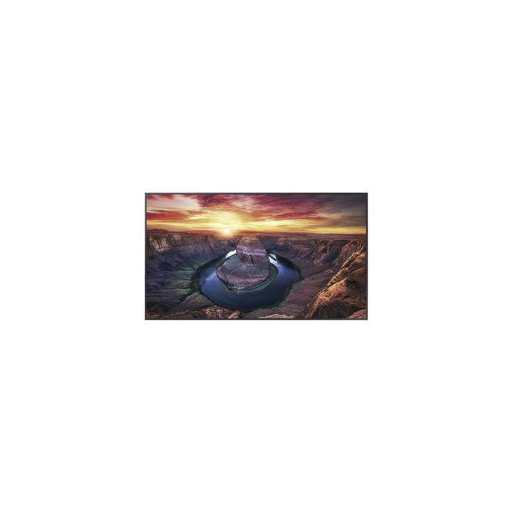 Pantalla Profesional LED de 50", UHD 4K (3840x2160p), Entradas de Video HDMI/DisplayPort / USO 24/7 / Compatible VESA /