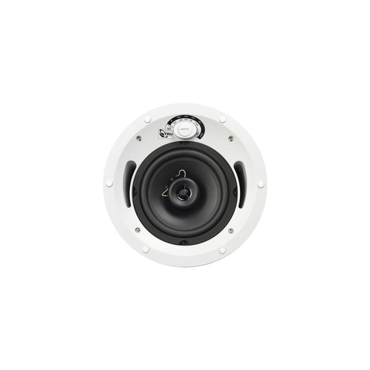 Altavoz comercial de 2 vías | 70V /100V | 8 Ohms | montaje en techo | woofer de 6.5 in | 60 Watts |