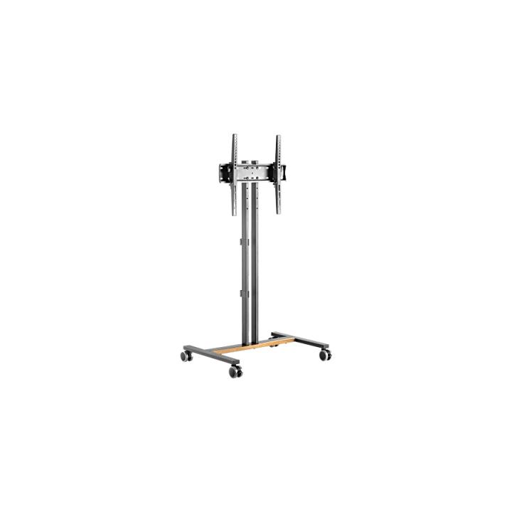 Soporte Móvil para Pantalla | Compatibilidad VESA 200x200 hasta  600x400 / Ruedas con Frenos / Ajuste de Altura y