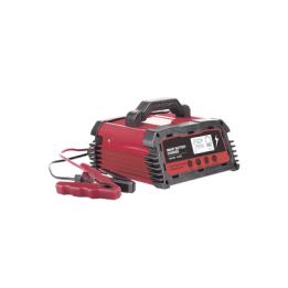 Cargador de Baterías / 12 o 24 Vcc / hasta 250 Ah / 25 A / Display LCD
