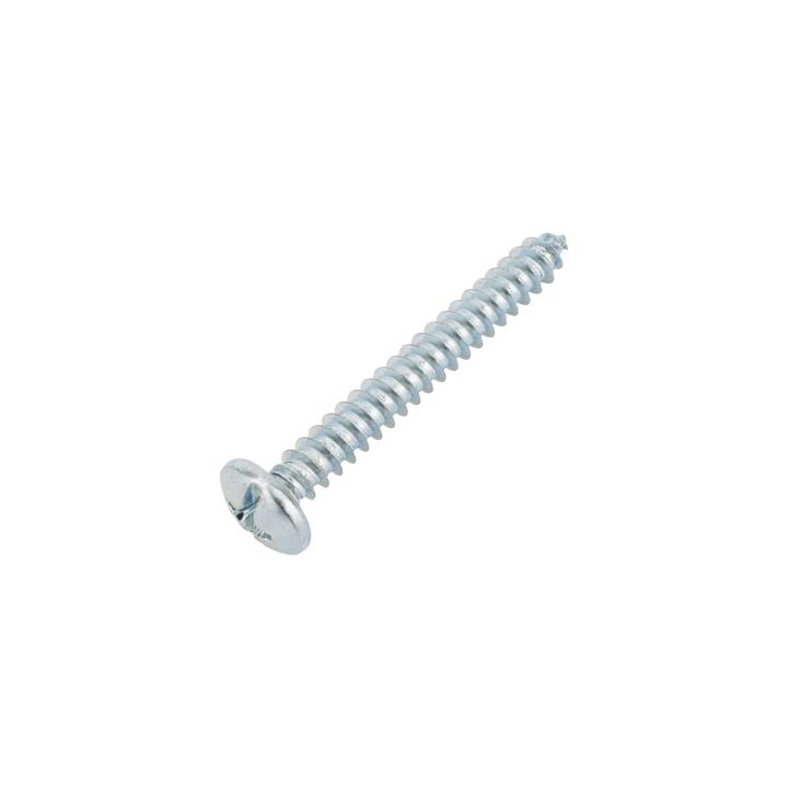 Paquete Con 10 Taquetes Rojos de 1/4" y 10 tornillos 10 x 1 1/2" (4.82 x 38 mm) (1103-05002)