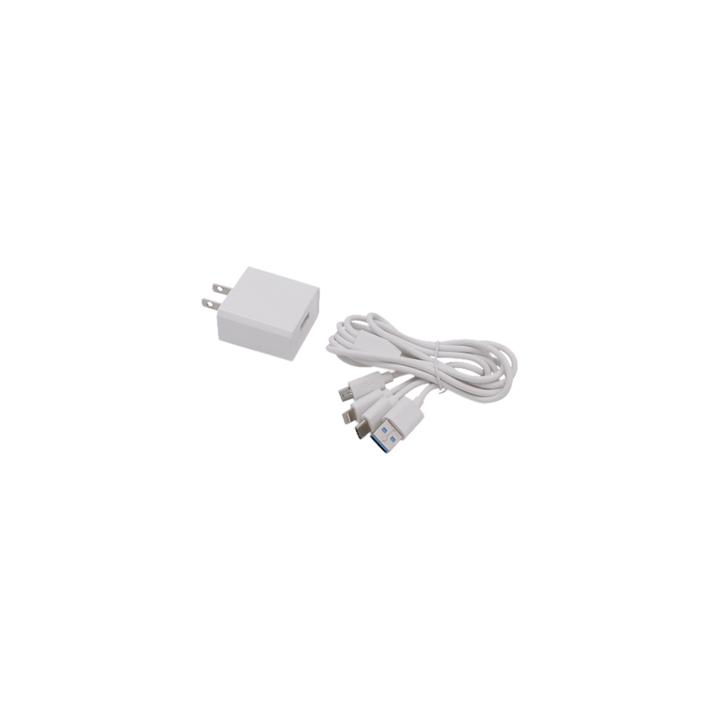 Cargador de pared USB de 5 Vcc 2A / Multi-puertos / USB-C / Micro USB / Tipo C / Lightning (iPhone) / Extensión de