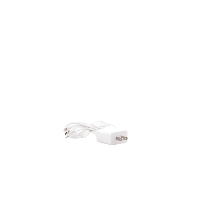 Cargador de pared USB de 5 Vcc 2A / Multi-puertos / USB-C / Micro USB / Tipo C / Lightning (iPhone) / Extensión de