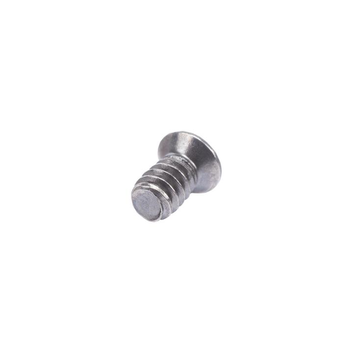Tornillo (1 pieza) para Rieles de HDD / Sujetadores Laterales / Compatible con 190200293