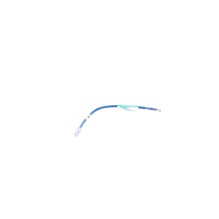 Cable de Parcheo UTP Categoría 6, con Plug Modular en Cada Extremo - 0.3 Metros (1 Pie) - Azul