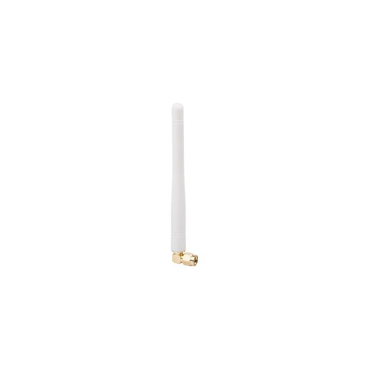 Antena WiFi de Repuesto para Cámaras IP / 3 dBi de Ganancia / Frecuencia 2.4 - 2.5 GHz / Conector Terminal con PIN
