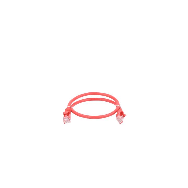 Cable de Parcheo UTP Cat6 - 0.5 Metros (1.64 Pies) - Rojo