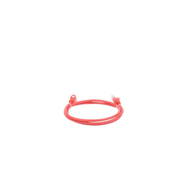 Cable de Parcheo UTP Cat6 - 0.5 Metros (1.64 Pies) - Rojo