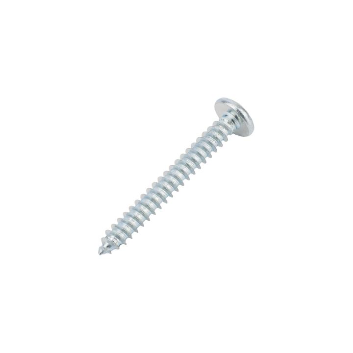 Kit de 10 taquetes autoperforables y 10 tornillos 10mm x 1 1/2" (1301-05002)