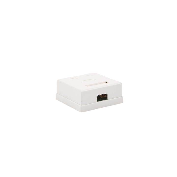Caja de Pared con 2 Puertos, Incluye 2 Jacks UTP Cat5e Keystone