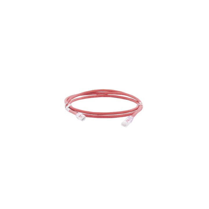Cable de Parcheo UTP Categoría 6, con Plug Modular en Cada Extremo - 1.5 Metros (4.92 Pies) - Rojo
