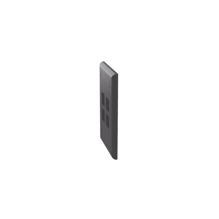 Placa de Pared Vertical, Salida Para 4 Puertos Keystone, Con Espacios Para Etiquetas, Color Negro