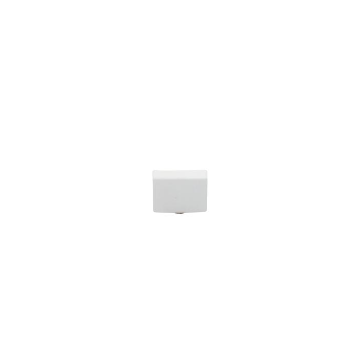 Tapa final color blanco de PVC auto extinguible, para canaleta TMK1720 (5290-02001)