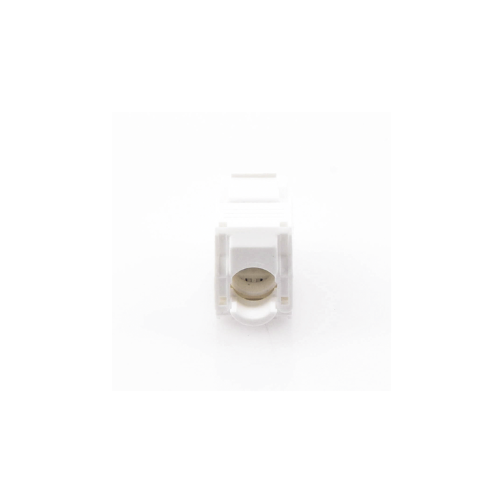 Módulo Jack Keystone Cat5e (Toolless), con Terminación en Ángulo 180 - Color Blanco, Compatible con Faceplate y