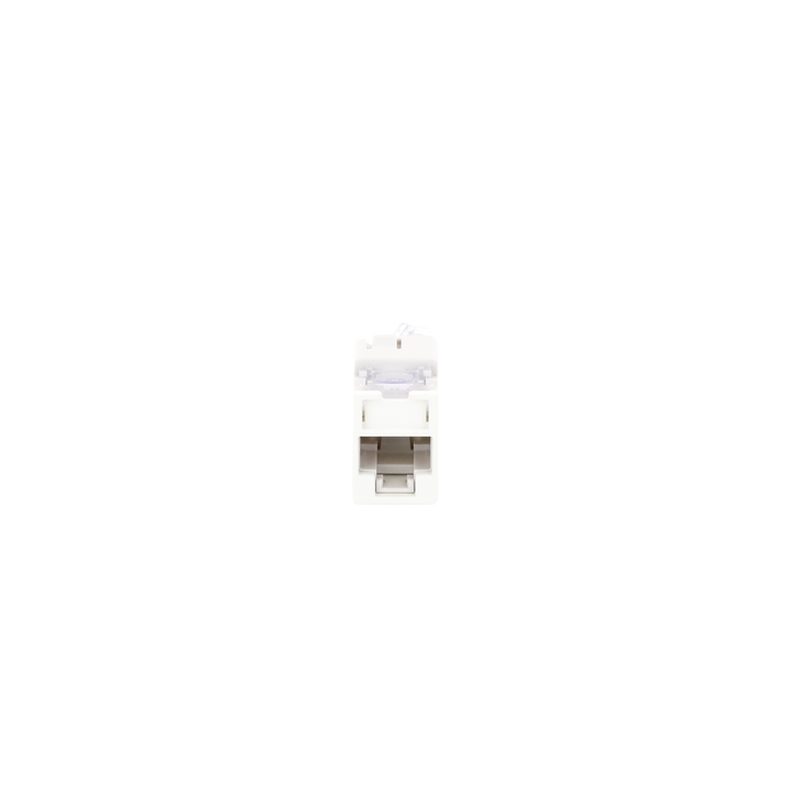 Jack Ultramax Cat6A, UTP, Montaje Híbrido en Placa de Pared (Plano y Angulado), Color Blanco, Punch Down