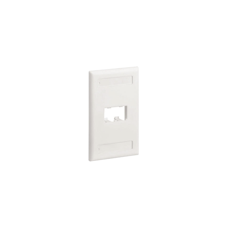 Placa de Pared Vertical Clásica, Salida Para 2 Puertos Mini-Com, Con Espacios Para Etiquetas, Color Blanco Mate