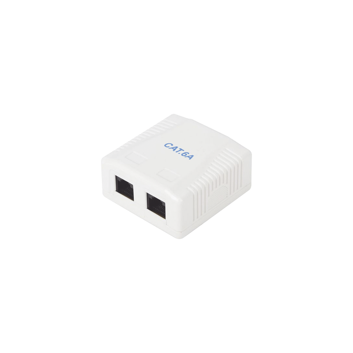 Caja de Pared con 2 Puertos, Incluye 2 Jacks UTP Cat6A