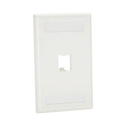 Placa de Pared Vertical Clásica, Salida Para 1 Puerto Mini-Com, Con Espacios Para Etiquetas, Color Blanco Mate