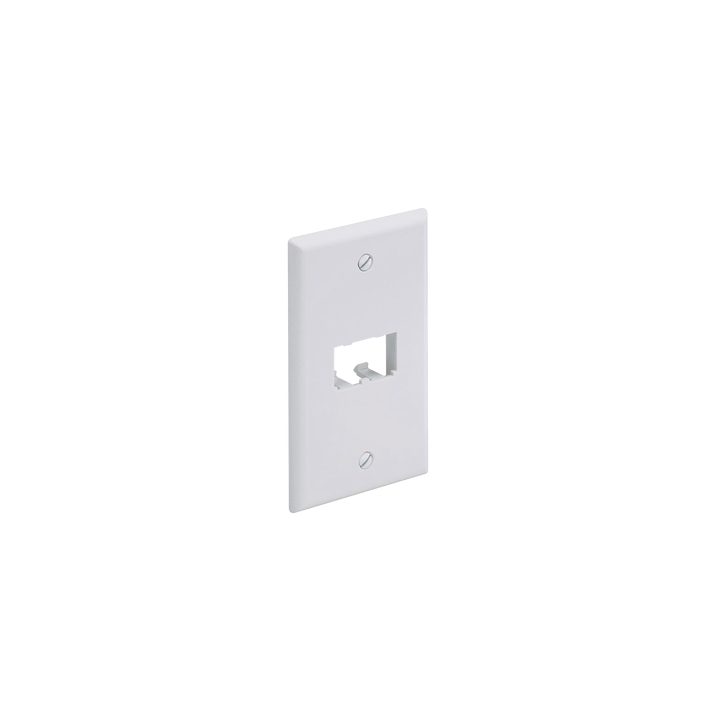 Placa de Pared Vertical Clásica, Salida Para 2 Puertos Mini-Com, Color Blanco