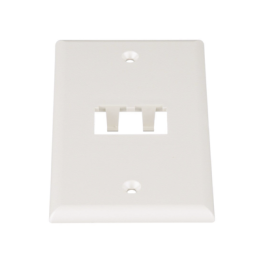 Placa de Pared Vertical Clásica, Salida Para 2 Puertos Mini-Com, Color Blanco Mate