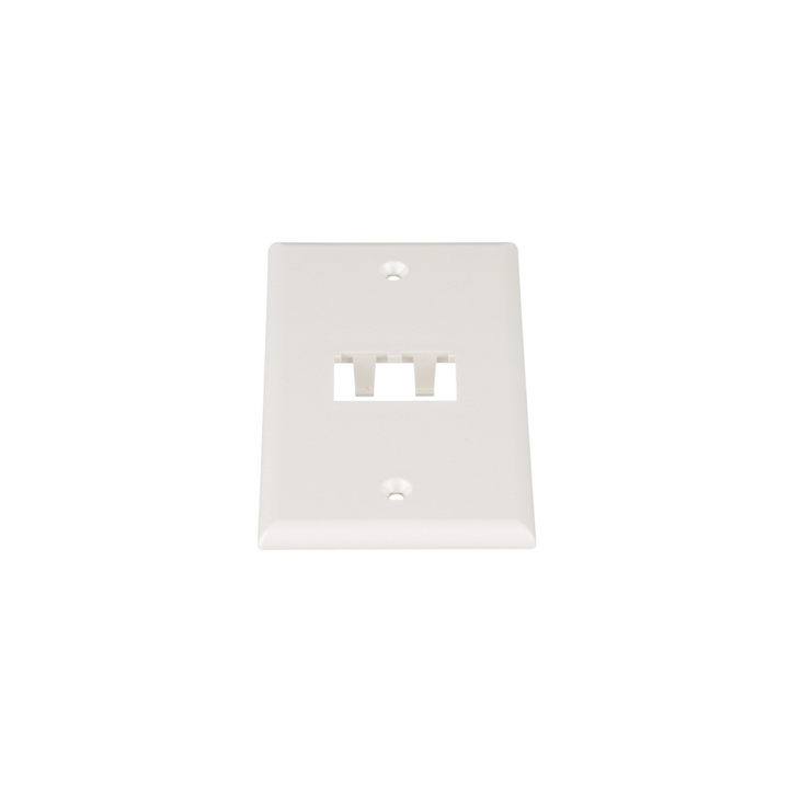 Placa de Pared Vertical Clásica, Salida Para 2 Puertos Mini-Com, Color Blanco Mate