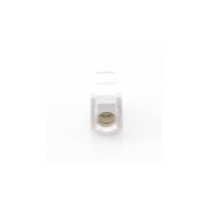 Módulo Jack Keystone Cat6A (Toolless), con Terminación en Ángulo 180 Grados Color Blanco, Compatible con Faceplate y