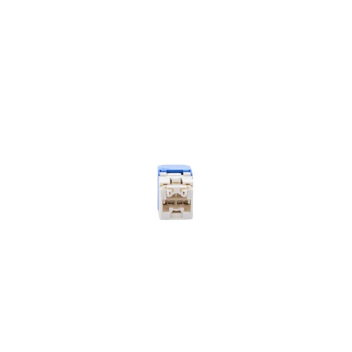 Conector Jack RJ45 Estilo TG, Mini-Com, Categoría 6, de 8 Posiciones y 8 Cables, Color Azul
