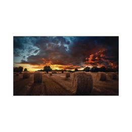 Pantalla Profesional LED de 55" para Video Wall, Full HD (1080p), HDMI/DVI-D/DP, Bisel Ultra Delgado de 2.3mm.