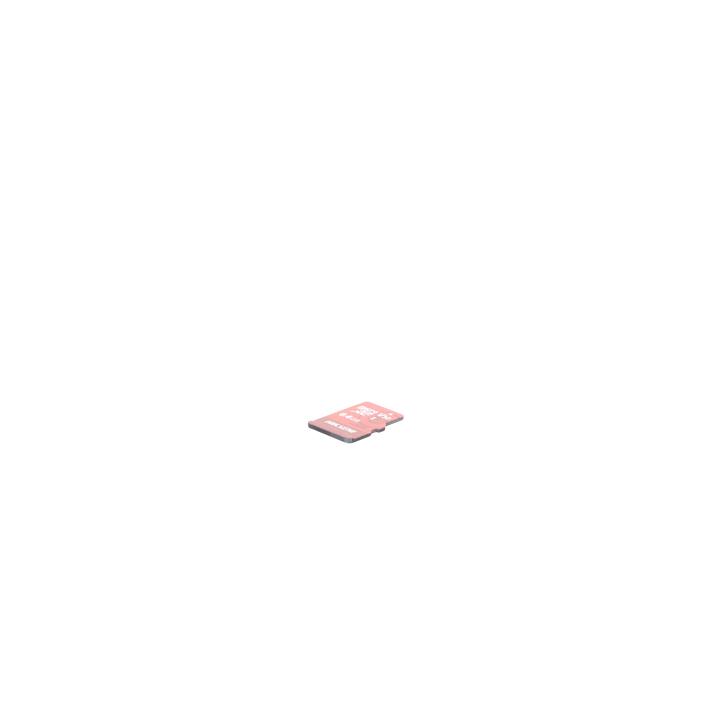 Memoria microSD / Clase 10 de 64GB / Especializada Para Videovigilancia (Uso 24/7) / Compatibles con cámaras HIKVISION