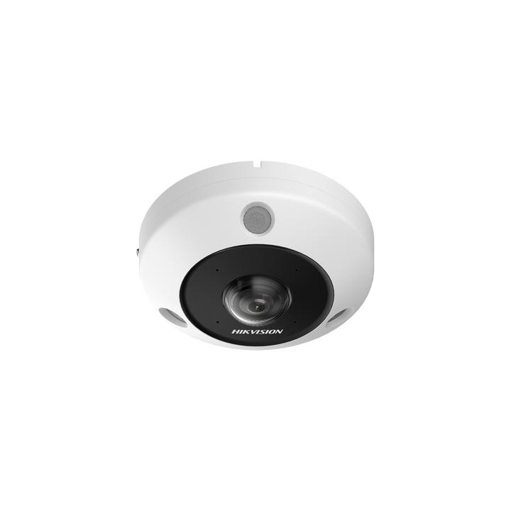 Fisheye IP 12 Megapixel / 180° - 360° / Dewarping / Lente Inmervision / Heat Map / HEOP 2.0 / Conteo de Personas /