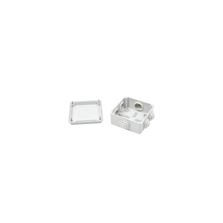 Caja Estanca de PVC Para Derivación y Conexión, 6 Entradas, Tapa Atornillada,100x100x50 mm (Área Interna), Uso