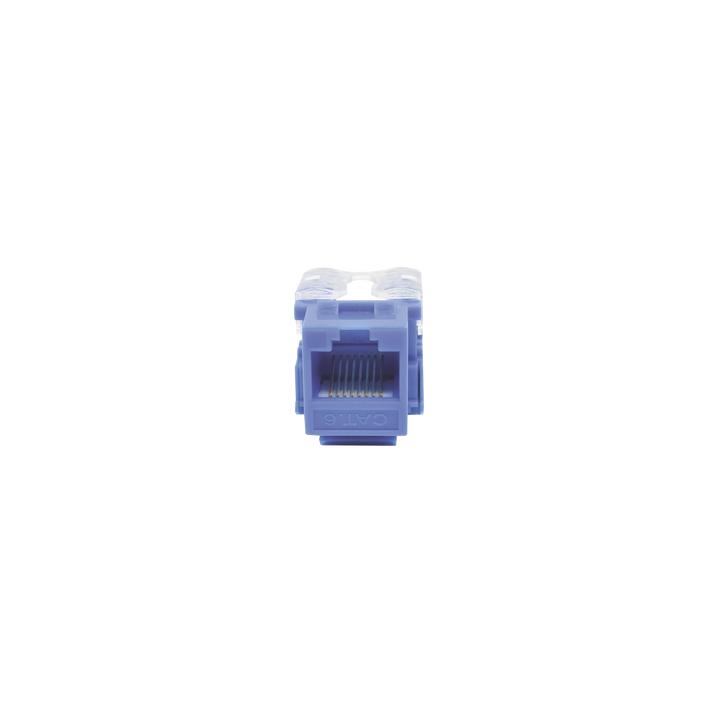 Módulo Jack 110 Cat6, Keystone para Faceplate - Color Azul