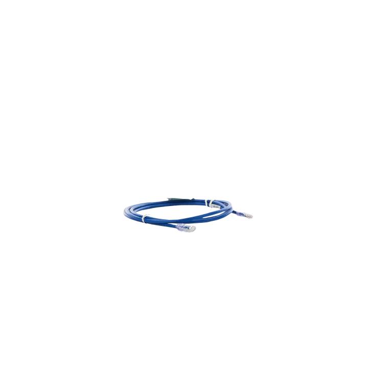 Cable de Parcheo UTP Categoría 6, con Plug Modular en Cada Extremo - 2 Metros (6.56 Pies) - Azul