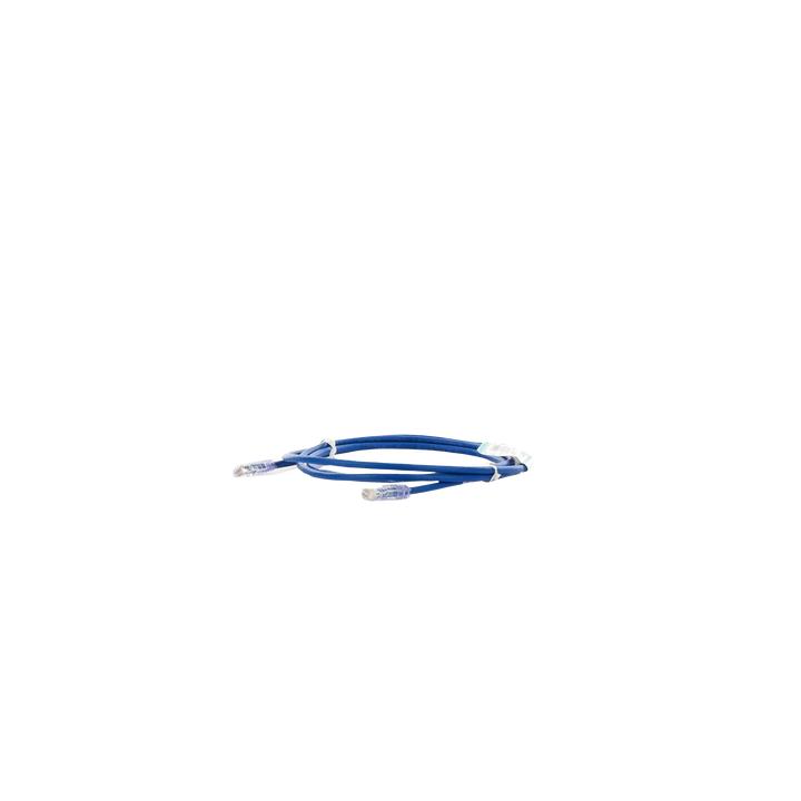 Cable de Parcheo UTP Categoría 6, con Plug Modular en Cada Extremo - 2 Metros (6.56 Pies) - Azul
