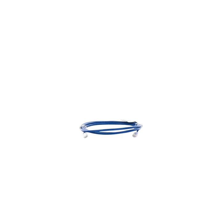 Cable de Parcheo UTP Categoría 6, con Plug Modular en Cada Extremo - 2 Metros (6.56 Pies) - Azul