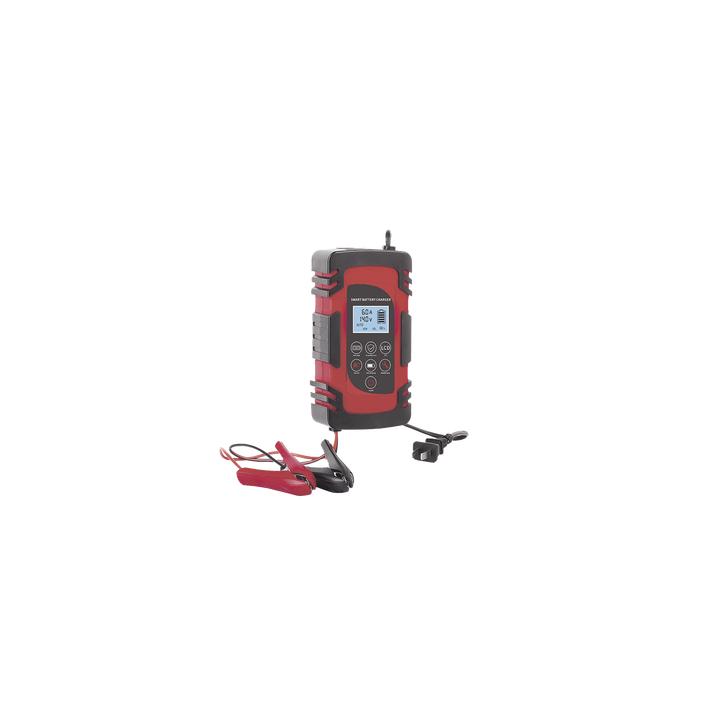 Cargador de Baterías / 12 o 24 Vcc / hasta 40 Ah / 2, 4 o 6 A / Display LCD