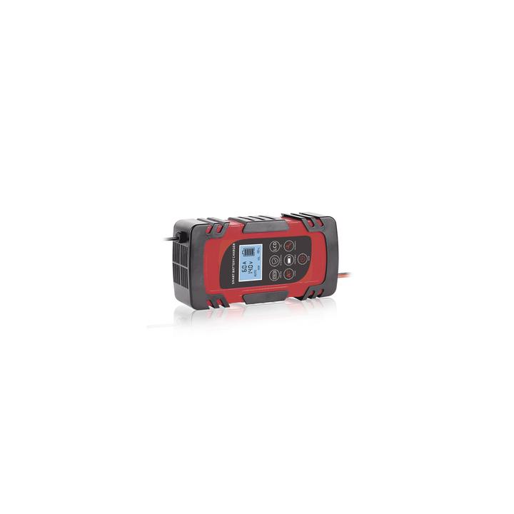 Cargador de Baterías / 12 o 24 Vcc / hasta 40 Ah / 2, 4 o 6 A / Display LCD