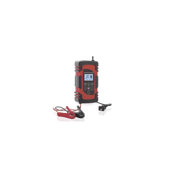 Cargador de Baterías / 12 o 24 Vcc / hasta 40 Ah / 2, 4 o 6 A / Display LCD