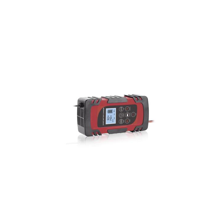 Cargador de Baterías / 12 o 24 Vcc / hasta 40 Ah / 2, 4 o 6 A / Display LCD