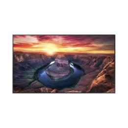 Pantalla Profesional LED de 55", UHD 4K (3840x2160p), Entradas de Video HDMI/DisplayPort / USO 24/7 / Compatible VESA /